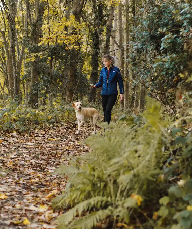 Viktigt med Vilodag 3 motionera i skogen