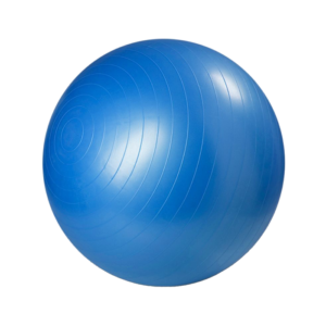 68 502085R gymboll 65 cm blue master fitness 0320